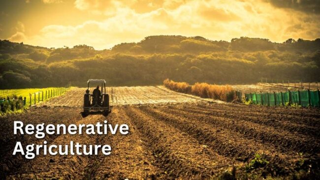 Regenerative Agriculture