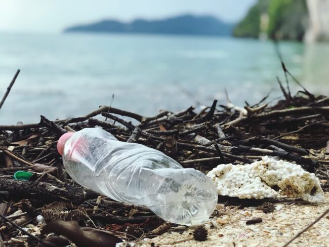 Single-Use Plastics on the Environment