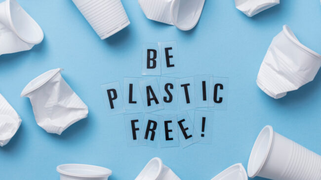 plastic-free lifestyle