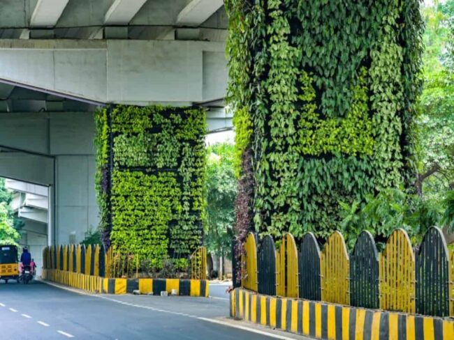 vertical green walls